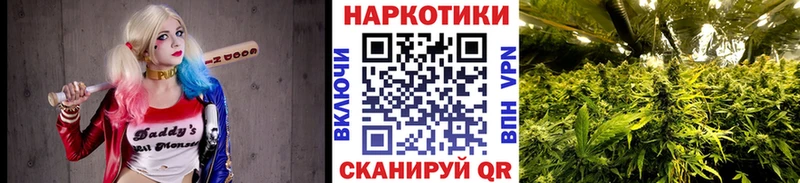 Где продают наркотики Боровичи Гашиш