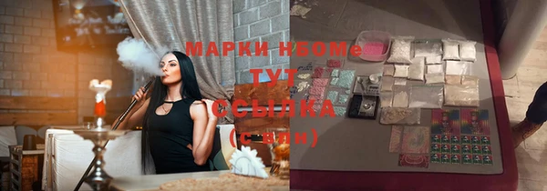 сатива Горняк