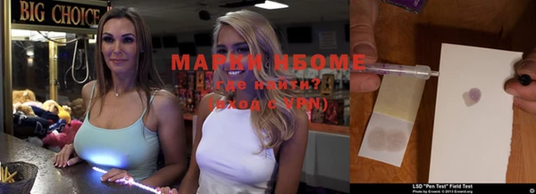 шишки Гусев