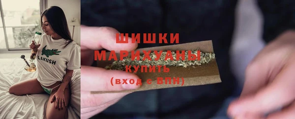 сатива Горняк
