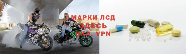 шишки Гусев