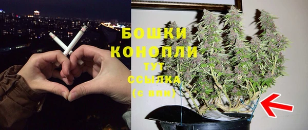 шишки Гусев