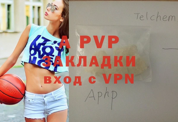 сатива Горняк
