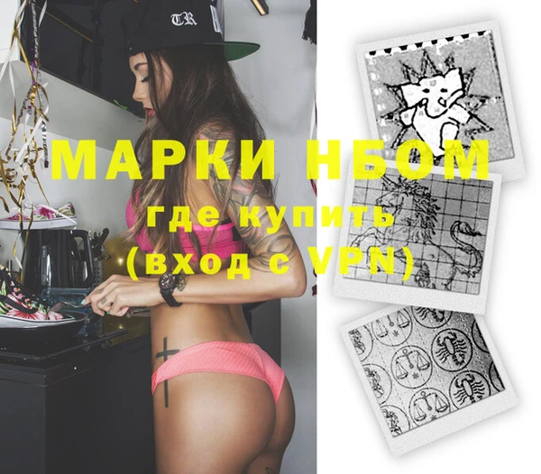 шишки Гусев