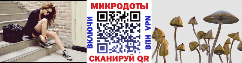 купить наркоту  Боровичи  Псилоцибиновые грибы ЛСД 