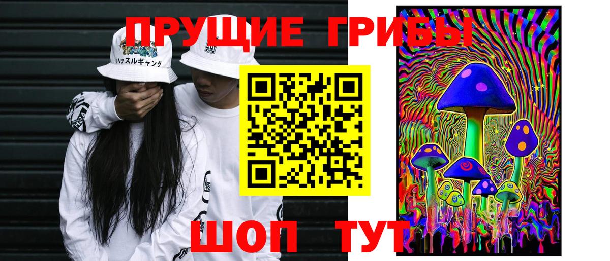 Псилоцибиновые грибы мухоморы  Вход с VPN  Боровичи 