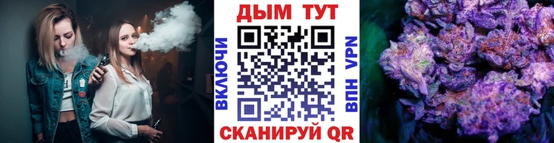 Бошки Шишки планчик  Боровичи 